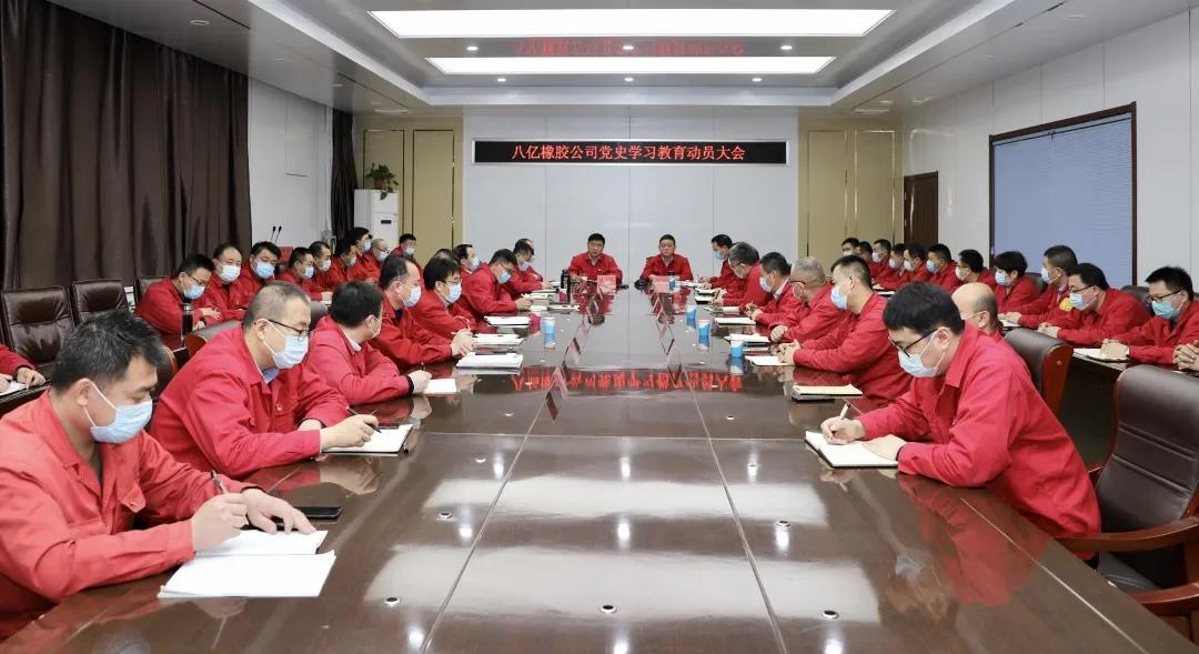 八亿橡胶公司召开党史学习教育动员大会